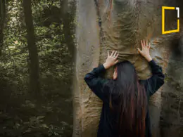 girl huging tree