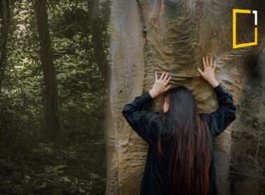 girl huging tree