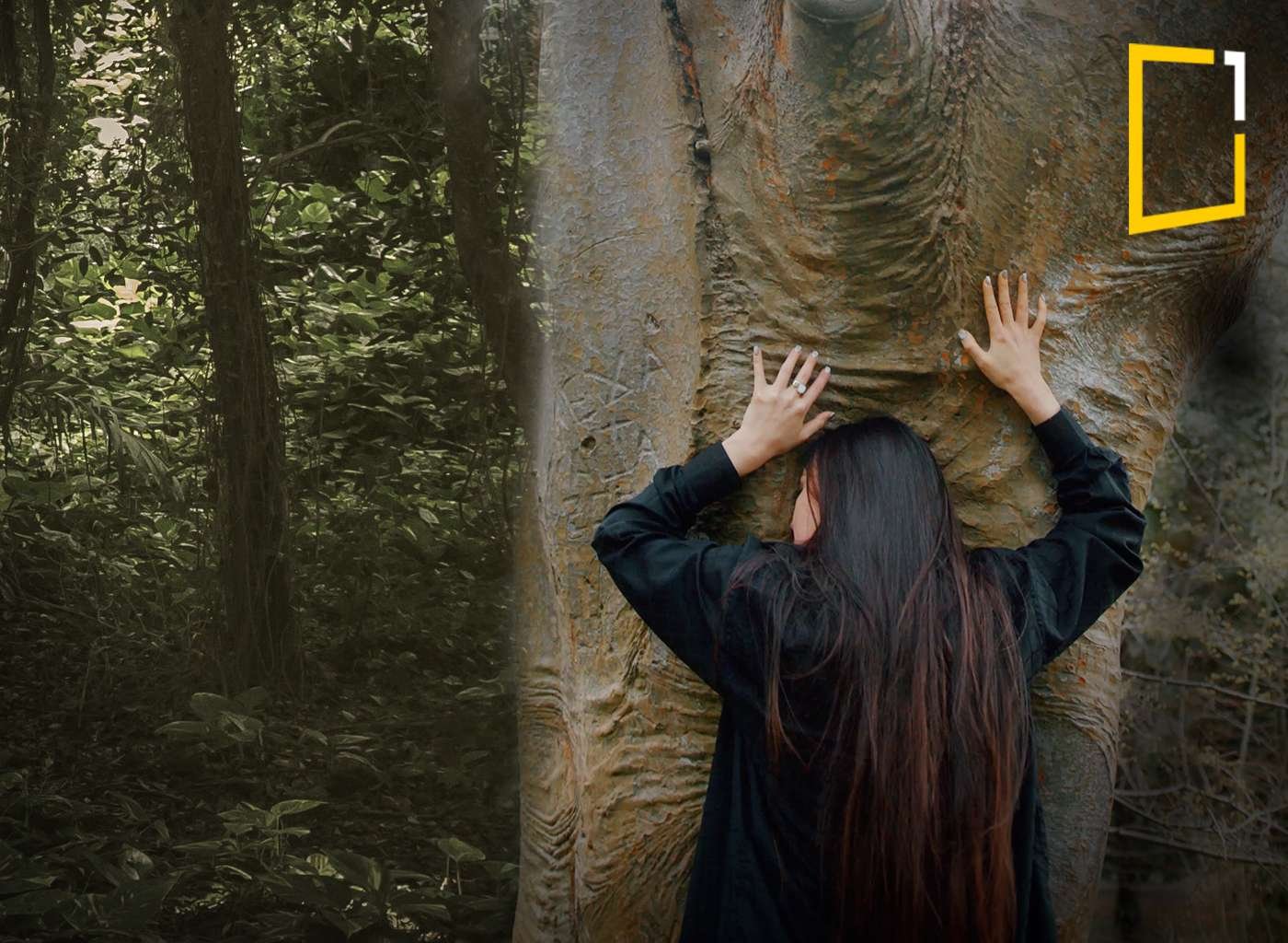 girl huging tree