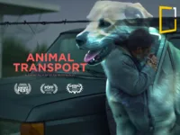 animal transport short movie