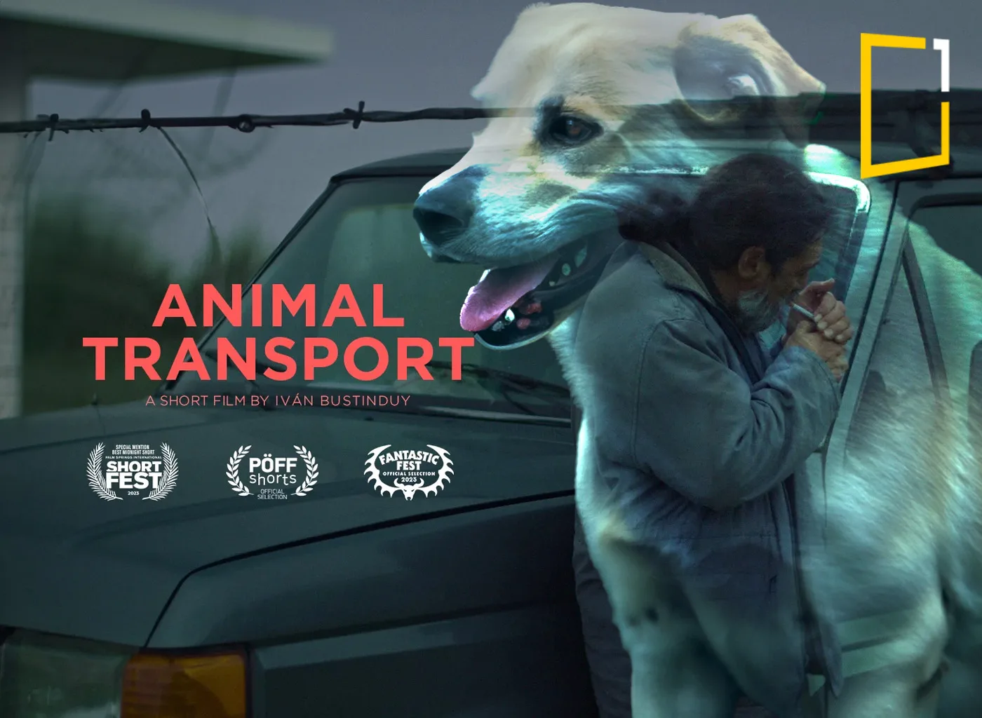 animal transport short movie