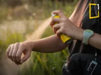 mosquito repellents spraing