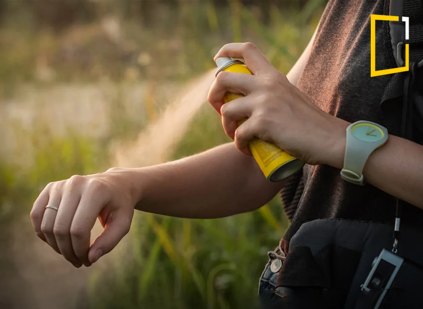 mosquito repellents spraing