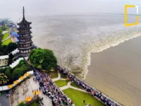 Qiantang River tidal bore in china