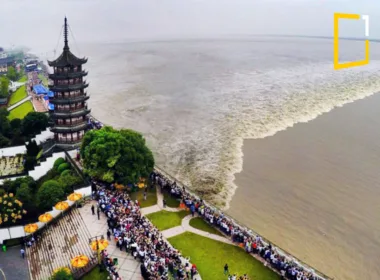 Qiantang River tidal bore in china