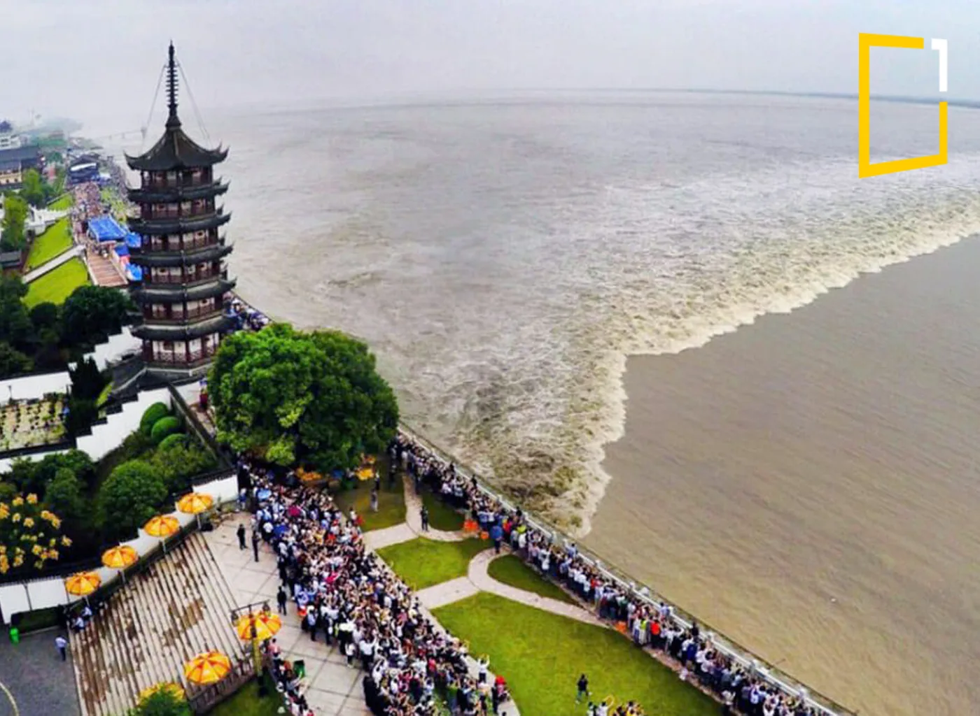 Qiantang River tidal bore in china