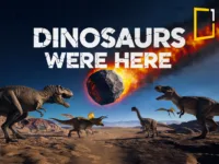 Asteroid impact, dinos chixulub