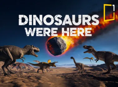 Asteroid impact, dinos chixulub