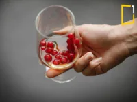 moderate alcohol consumption and effect on health