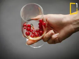 moderate alcohol consumption and effect on health