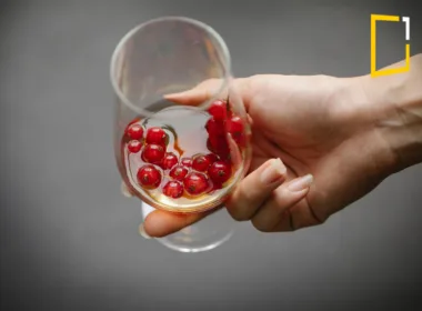 moderate alcohol consumption and effect on health