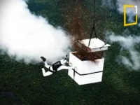 luigi cani 100 mollion tree seeds saving Amazon forest