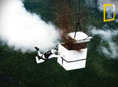 luigi cani 100 mollion tree seeds saving Amazon forest