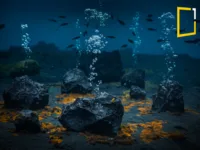 Black oxygene in deep sea