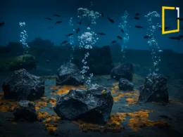 Black oxygene in deep sea