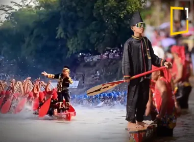 pacu jalur festival, farming kids