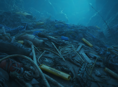 Ocean's Silent Scars: The Epic Battle Against Marine Debris Giants